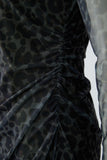 Leopard Print Mesh Dress