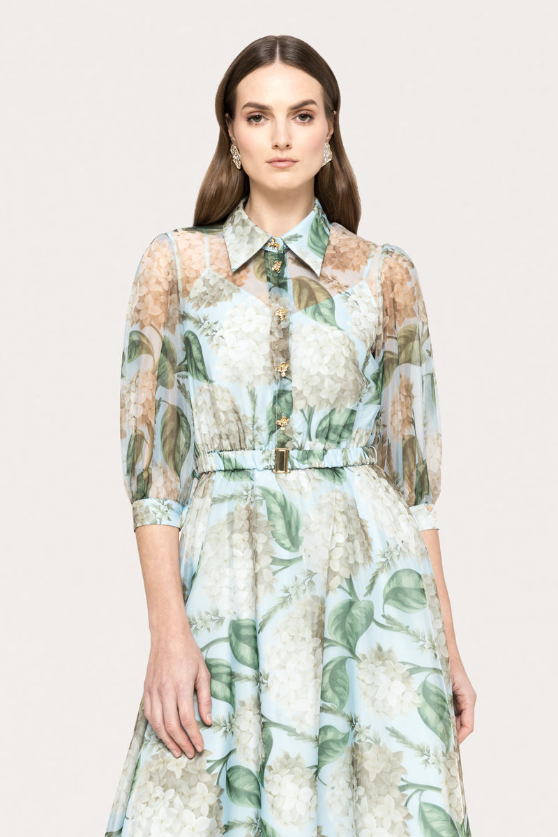 Printed Organza Midi Dress
