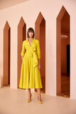 Shirtwaist Dress in Yellow