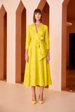 Shirtwaist Dress in Yellow