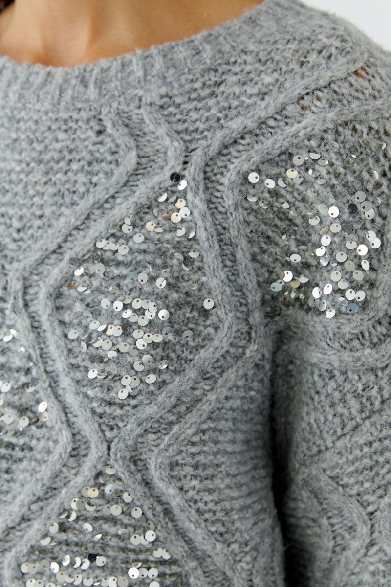 Grey Sweater with Sequins