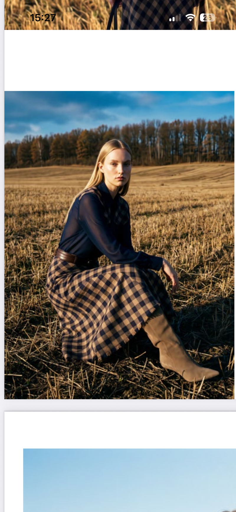 Marin Check/Navy Skirt