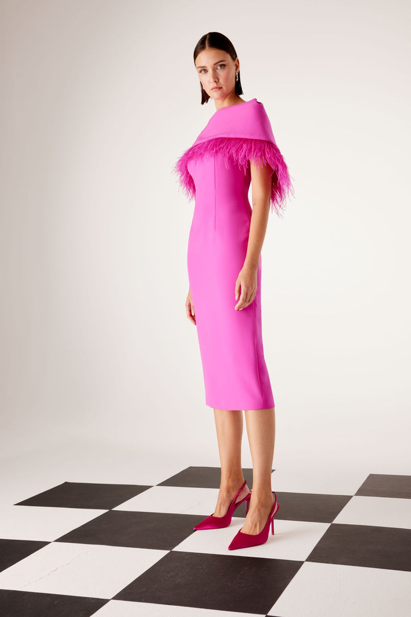 Pink Dress with Feather Trimmed Cape