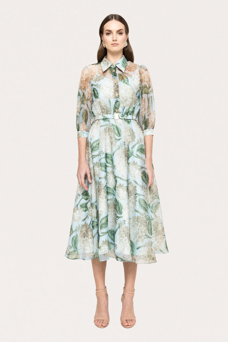 Printed Organza Midi Dress