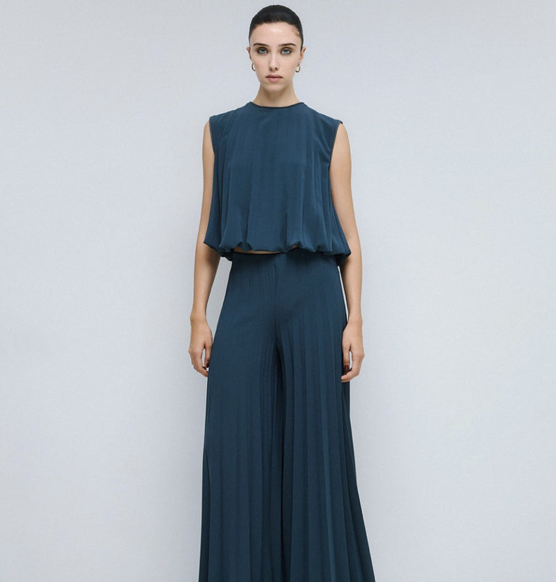 Wide Leg Pleated Pants
