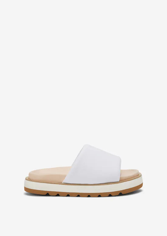 Organic Canvas Sliders