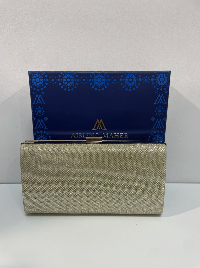 Silver Gold Shimmer Bag