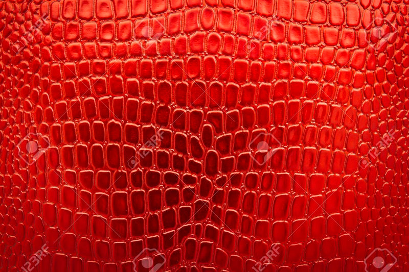 Riley Red Croc Clutch