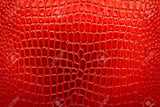 Riley Red Croc Clutch